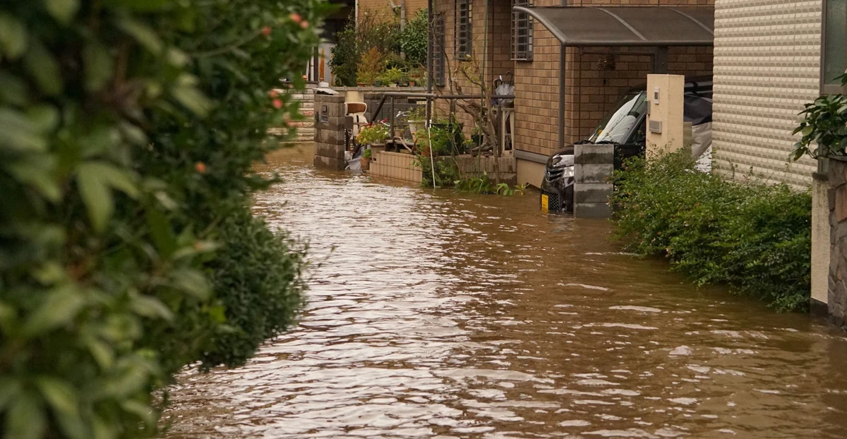 住宅前の道路に雨水がたまっている様子。提供資料の参考写真